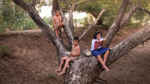 A school child Foto stock