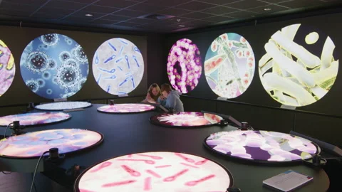 School children are exploring the world of microbes and viruses Stock Footage 236359458