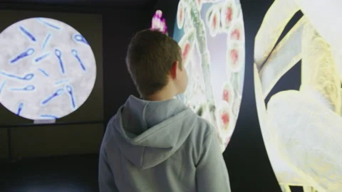 School children are exploring the world of microbes, viruses and bacterias Stock Footage 236359801