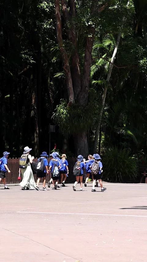 School Children in Blue Uniforms Walking Outdoors on a Sunny Day Stock Footage 332318405