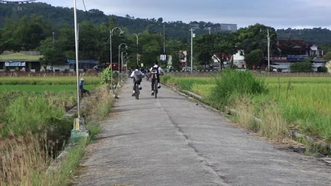 School children go to school using bicycles Stock Footage 237975991