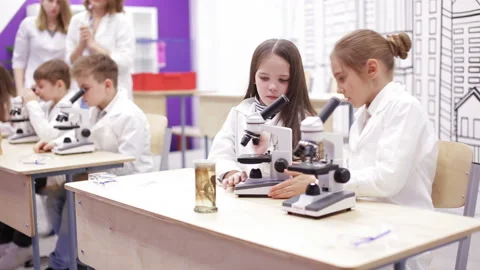 School children learn to work with a microscope Stock Footage 88916992