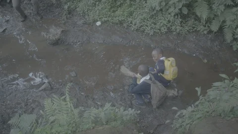 School children by stream Stock Footage 90568221