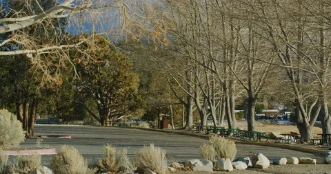 School children training for their upcoming athletic event at Big Bear Lake, Stock Footage 115069580