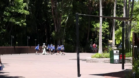 School Children in Uniform Walking Through a Sunny Australian Zoo Stock Footage 332264115