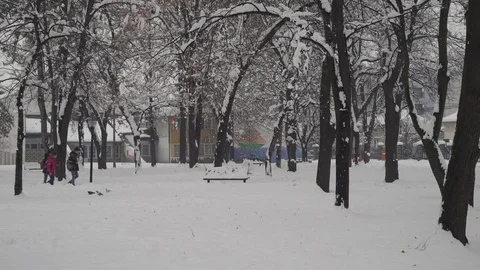 School children walking through the snow park, snowflakes falls, winter season. Stock Footage 101238957