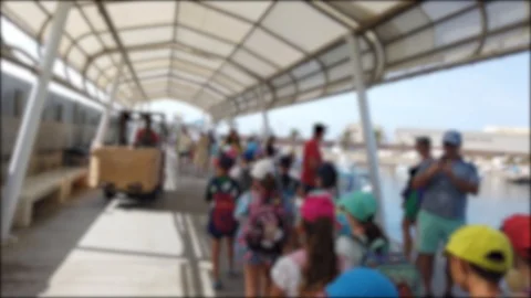 A school class arrives on the island of Tabarca where everyone is blurring out Stock Footage 122219583