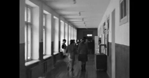 School corridor, students walk through the school campus with large windows Stock Footage 255558878
