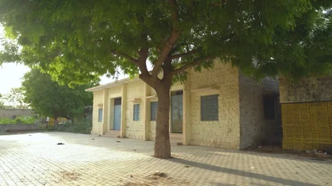 School Courtyard with Shade Tree Stock Footage 325090487