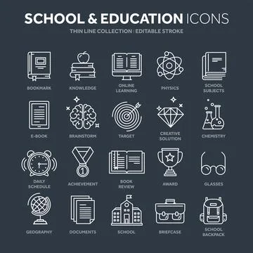 School education, university. Study, learning process. Oline lessons, tutorial Illustrazione stock