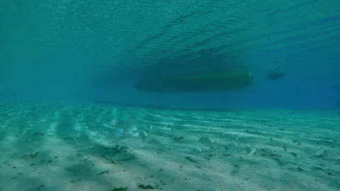 School of Emperor fish swimmng on sandy bottom with motorboat in background Stock Footage 327560402