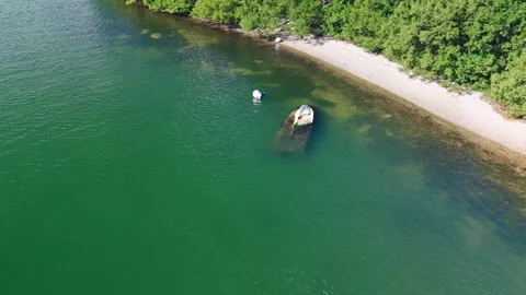 School of Fish Aerial Video stock 291747189