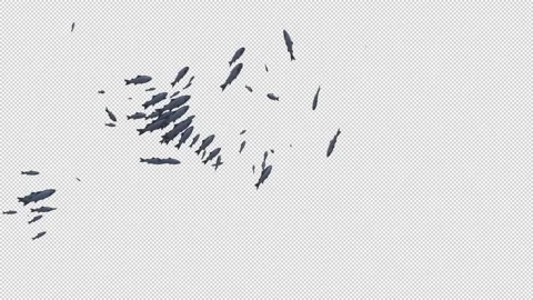 School of fish with Alpha Видео 158859370