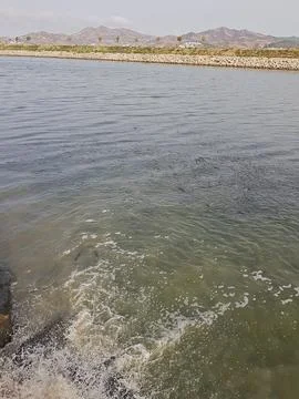 A school of fish clusters at the water surface while a small waterfall pours Stock Photos