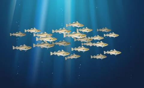 School of fish Codfish. Marine life. Cod atlantic, vector illustration Stock Illustration