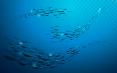 School of fish Stock Illustration