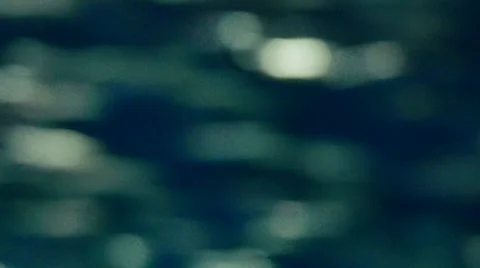 School of fish MS Vidéo 35543346