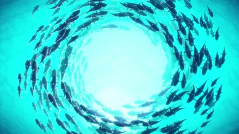 School of Fish. Swim in a Circle.4K Loop Stock Footage 222593625