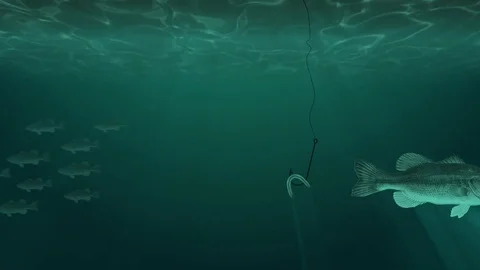 School of Fish Swim next to a Fish Hook with a Worm Underwater Stock Footage 77694526