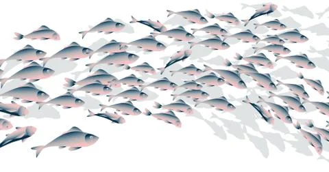School of fish vector illustration for header, web, print, card and invitatio Illustrazione stock
