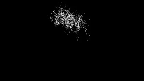 School flock of birds flying Video stock 336351355