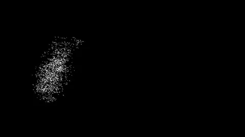 School flock of birds flying 库存影片 336352090