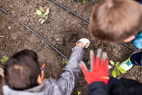 School garden Stock Photos