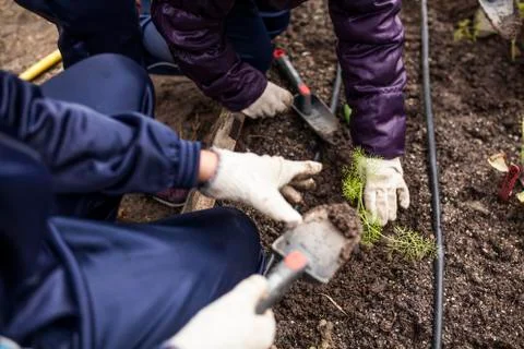 School garden Stock Photos
