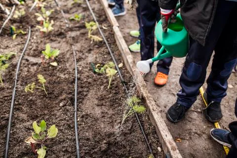 School garden Stock Photos