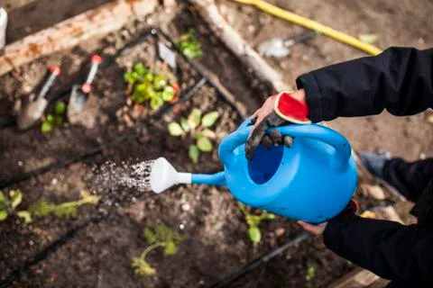 School garden Stock Photos