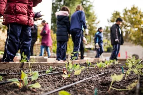 School garden Stock Photos