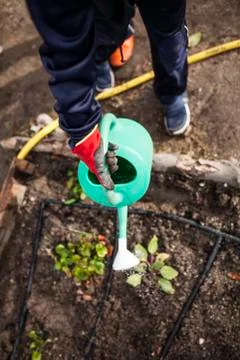 School garden Stock Photos