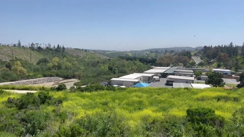 School on Hill Stock Footage 239758026