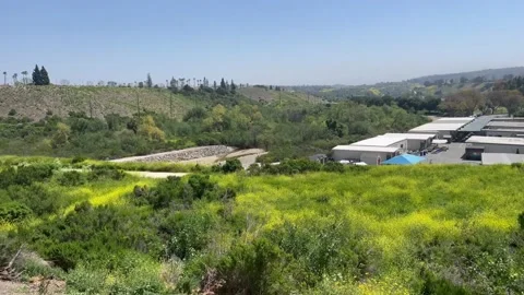 School on Hillside Stock Footage 239758139