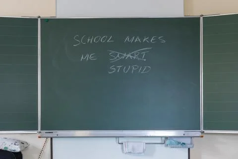 School makes me smart - school makes me stupid Фото