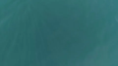 School of mobulas ray jumping and swimming Stock Footage 200585078