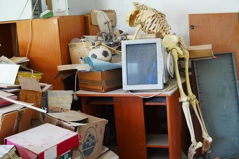 School office, skeleton. 스톡 사진