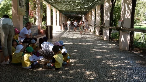 School outing group tilt up on arch covered in vines at Lisbon Zoo, Portugal Stock Footage 112653978