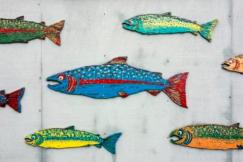 School Of Painted Salmon Stock Photos