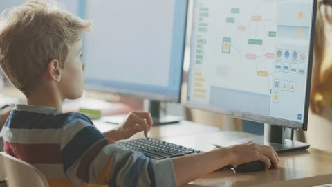 School Science Classroom: Teacher Educates Smart Schoolboy who Work on PC Stock Footage 119359511