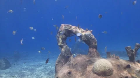 School of Sergeant Majors Vidéo 8688089