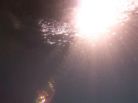 School of small baitfish and cave Stock Footage 98698775
