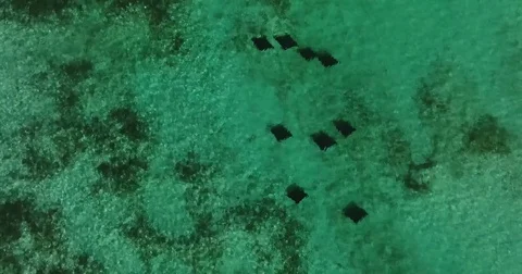 School of Spotted Eagle Rays from Above, Aerial Stock Footage 83822742