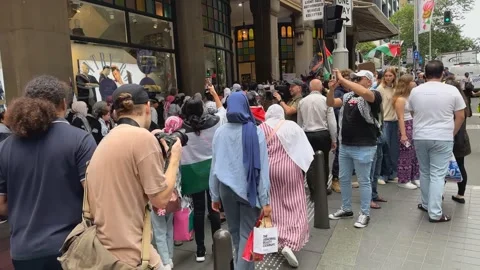 School Strike for Palestine 스톡 동영상 256288891