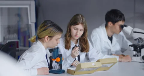 School Students In Biological Class, Teens Girls And Boys Viewing Entomological Stock Footage 279951372