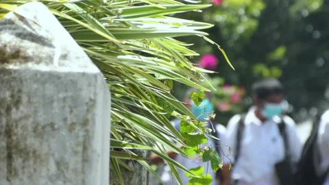 School students walking in background Video stock 205067854