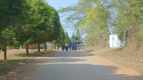 School Students Walking Through Rural Assam Village Stock Footage 344889328
