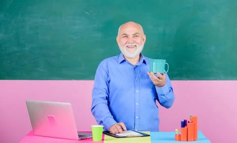 School teacher programming with laptop. Programming web development. Teacher Foto stock