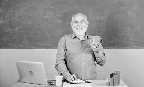 School teacher programming with laptop. Programming web development. Teacher Stock Photos