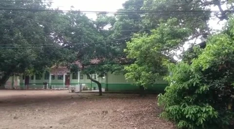 School yard Stock Footage 242513055
